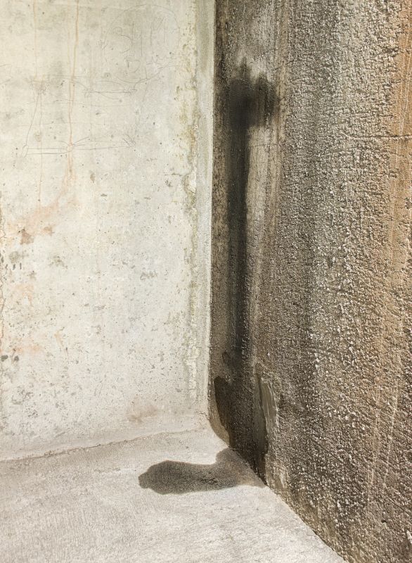 Foundation Leak Repair in Fort Myers, FL
